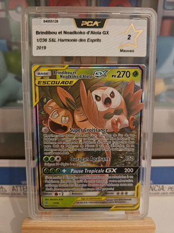 Noadkoko 1/236 PCA2