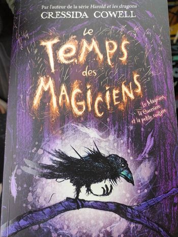 Le temps des magiciens