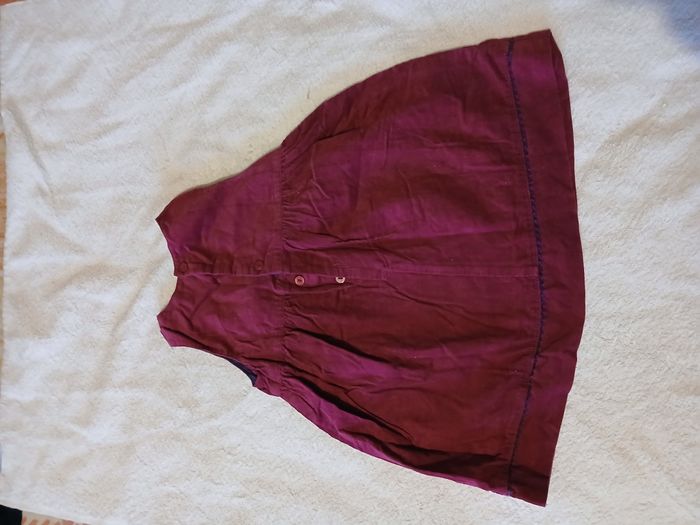 Rose Sergent Major - photo numéro 3