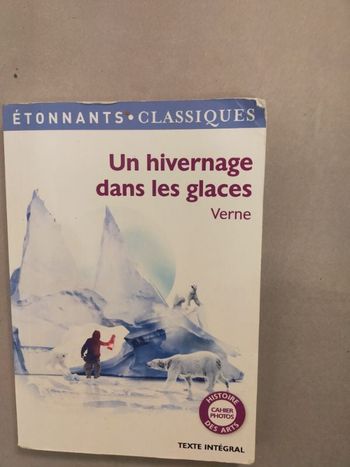 Un hivernage dans les glaces