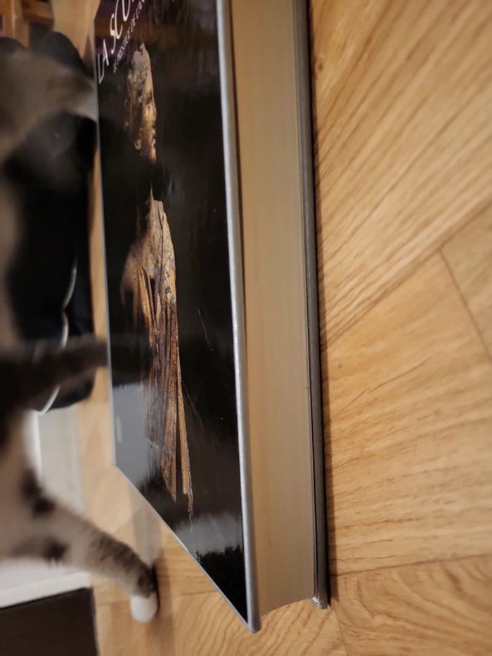 L'histoire d'un art la sculpture le prestige de l'antiquité - photo numéro 2