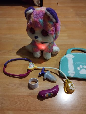 Hope mon husky arc en ciel