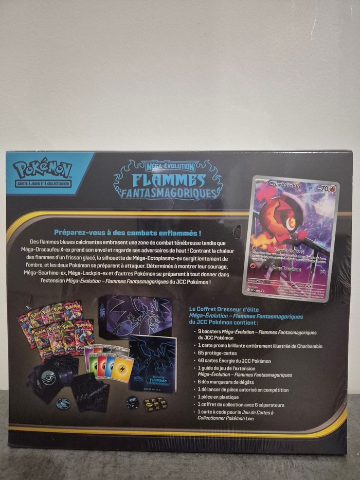 Etb flammes fantasmagoriques - photo numéro 3