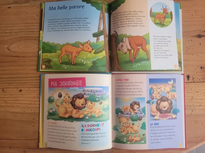 Lot livres animaux Cerf et Lion - photo numéro 5