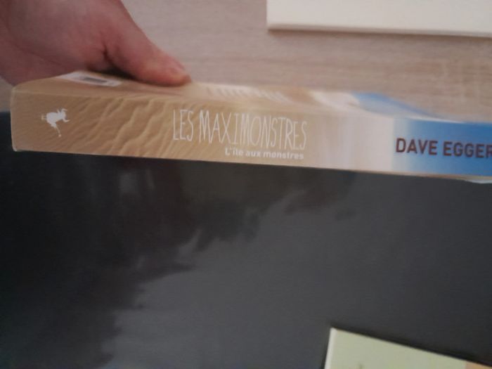 roman Max et les maximonstres - l'île aux monstres - photo numéro 6