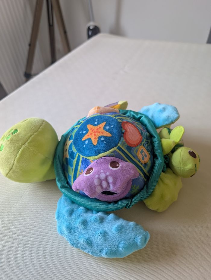 Juju maman tortue - photo numéro 2