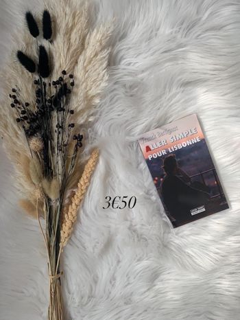 Aller simple pour Lisbonne 📚