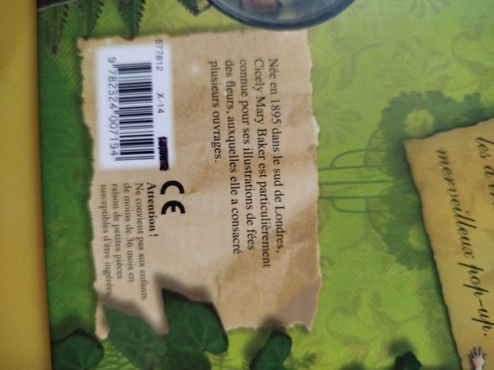 Pop-up à la recherche des fées et des fleurs - photo numéro 8