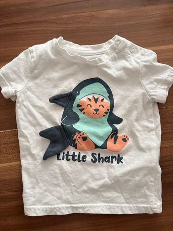 T shirt requin