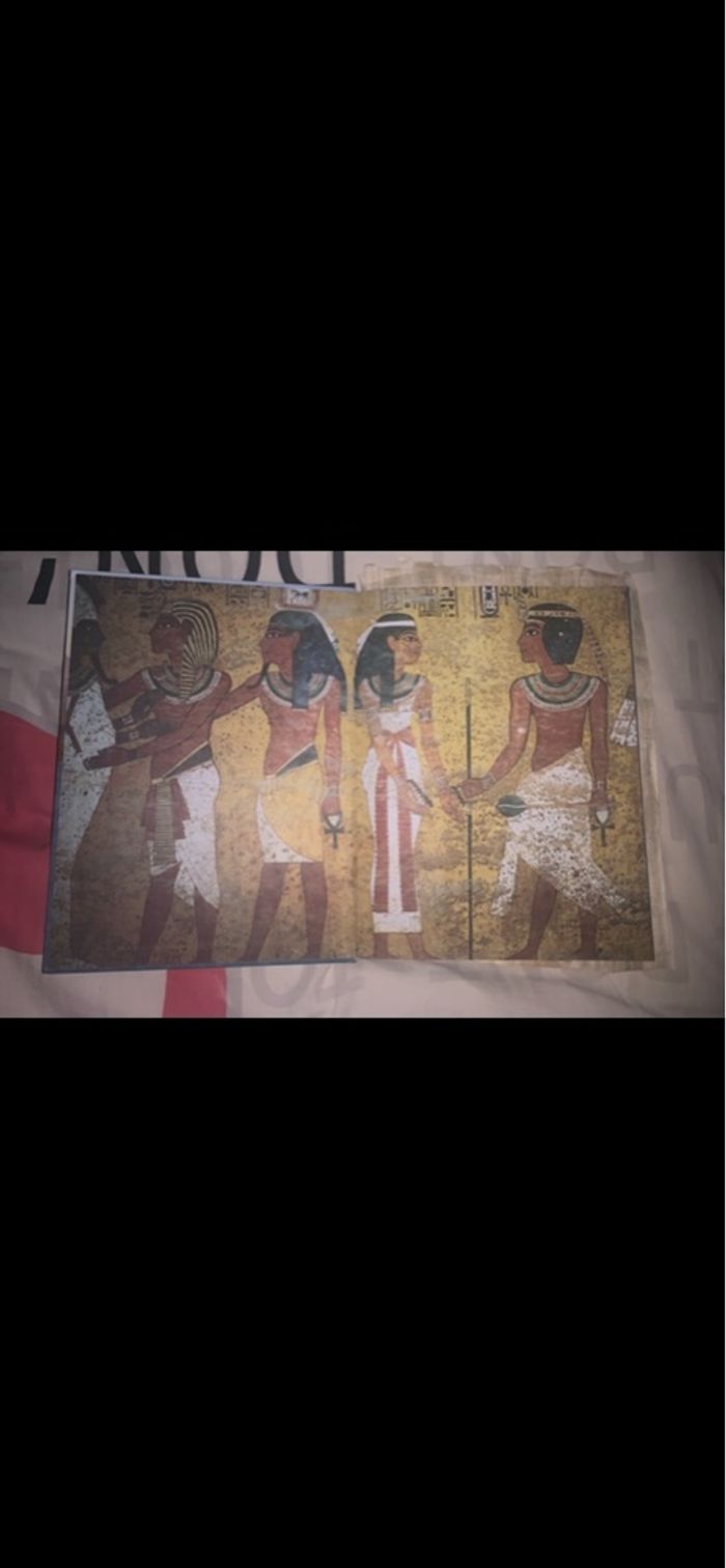 Livre sur les grand voyageurs raconte l’Égypte avec papyrus - photo numéro 2