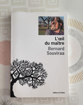 L'Oeil du maître de Bernard Souviraa