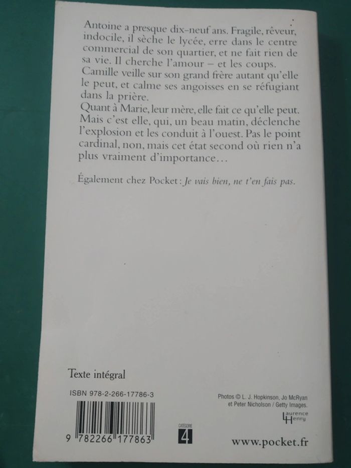 À l'ouest - photo numéro 2