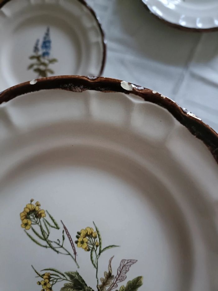 Lot de 8 assiettes vinteges herbes aromatiques - photo numéro 10