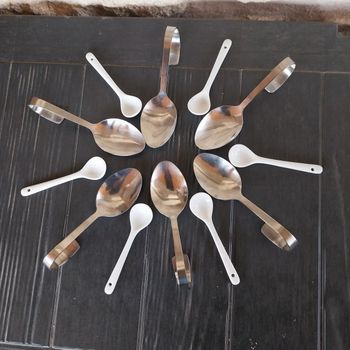 12 cuillères apéritives 5 euros le lot