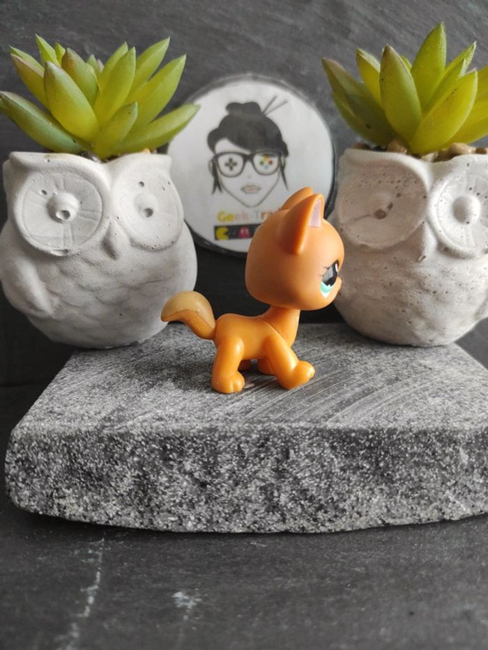 Littlest Petshop LPS Pet Shop chat main coon 1100 cat maincoon #geektradelpschat - photo numéro 2