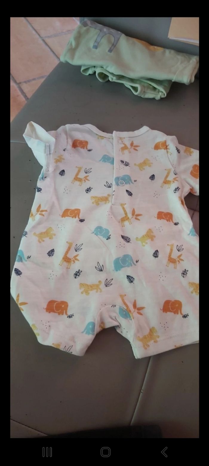 Bodie ete 1 mois - photo numéro 4