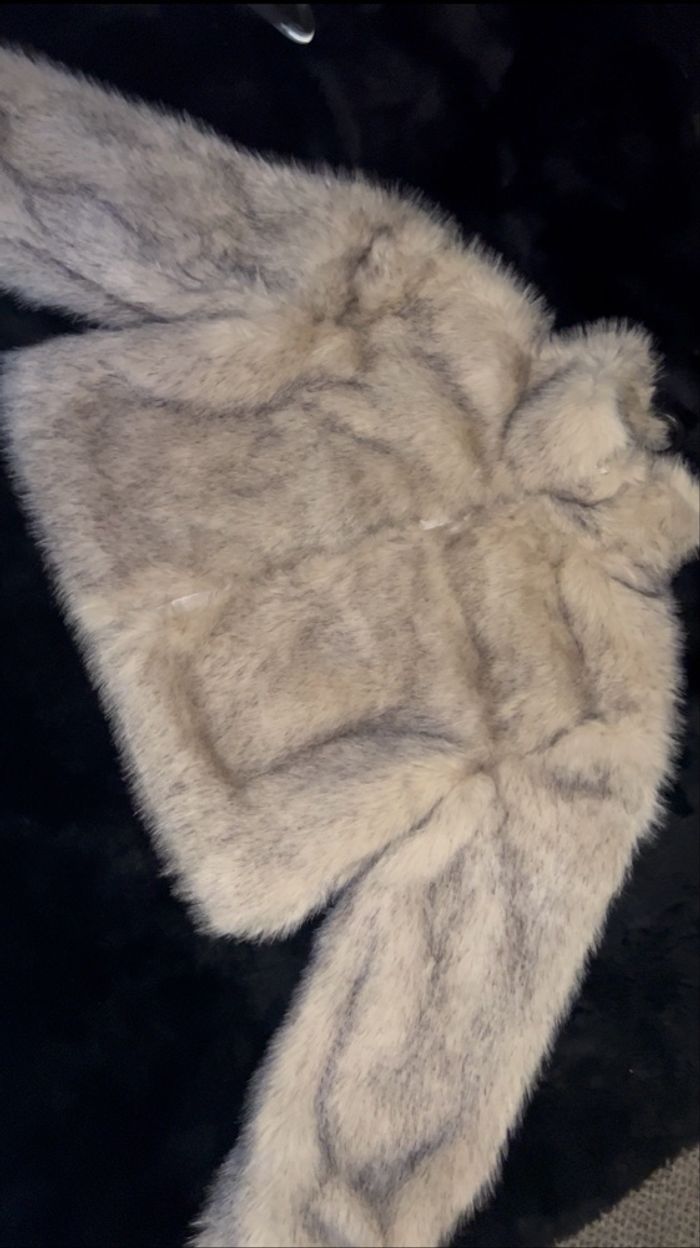 fourrure - photo numéro 3