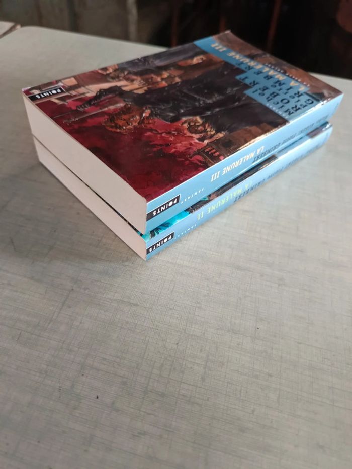 Lot 2 livres la malerune 2 et 3 - photo numéro 4