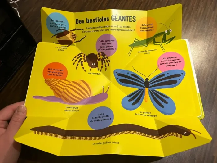 Livre Mes premières petites bêtes Patapon avec poster à déplier - photo numéro 11
