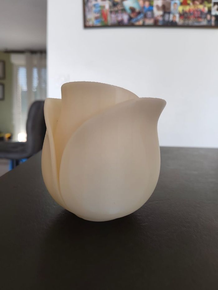 Pot tulipe uv - photo numéro 4