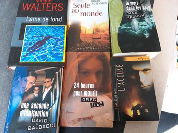 Lot livres thriller ou policiers