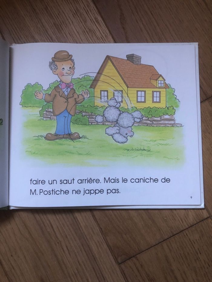 Le caniche de M. Postiche - photo numéro 3