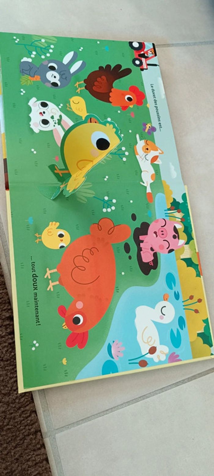 Livre de l'oeuf au poussin poule - photo numéro 5