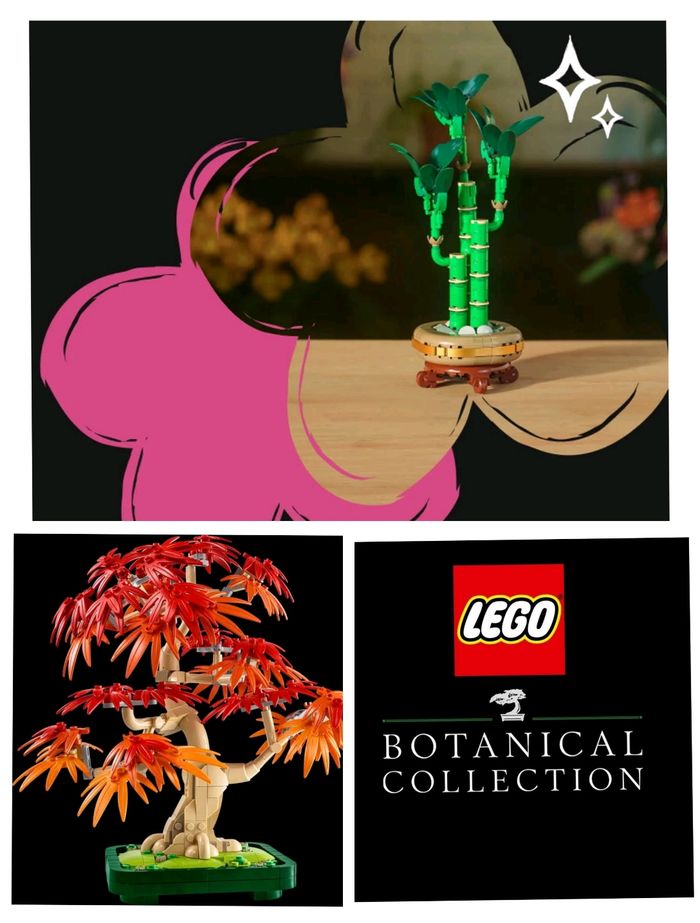 Lego bonsaï d'érable rouge du Japon et bambou - photo numéro 2