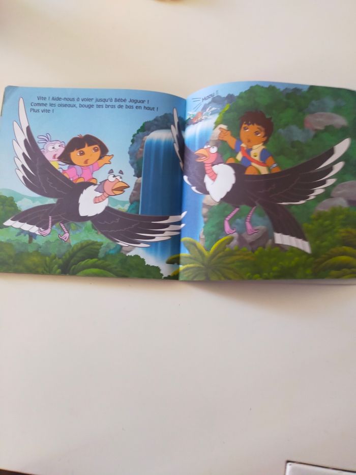 Livre Dora et Diego - photo numéro 3