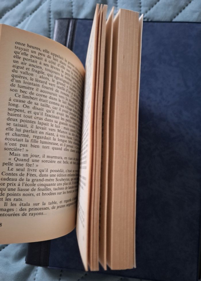 Livre Manon des Sources - photo numéro 3