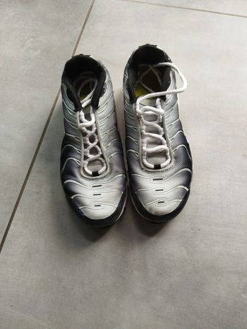 Baskets Nike air max plus TN requin 36