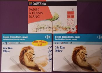 Lot papiers à dessin blanc