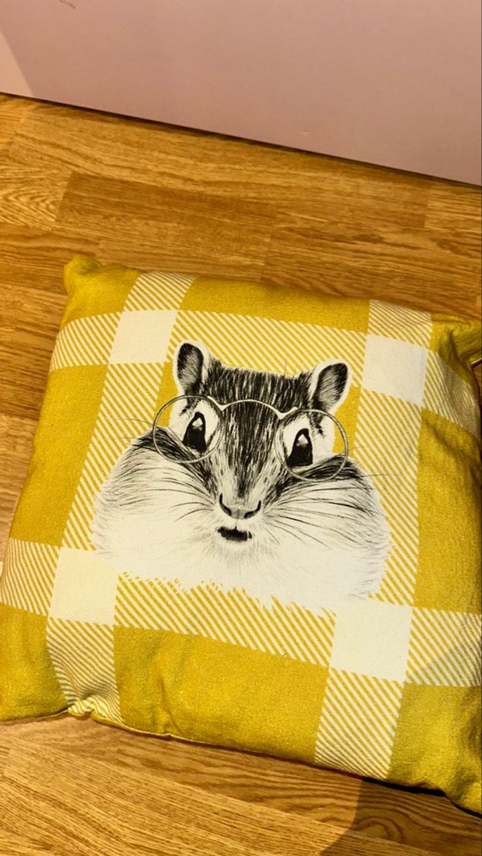 Oreiller / coussin Maison du Monde - neuf - photo numéro 3