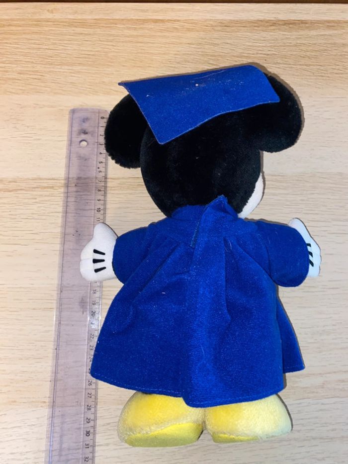 Peluche Mickey mouse Disney Disneyland Paris eurodisney diplôme étudiant baccalauréat graduation - photo numéro 3