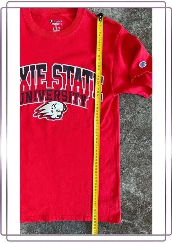 T shirt rouge homme Champion S Dixie University Men T-shirt Maglietta uomo Herren-T-Shirt - photo numéro 6