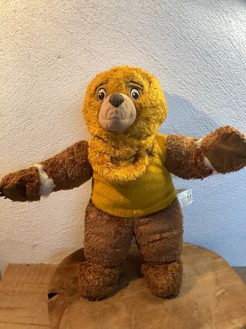 Peluche frère des ours disney