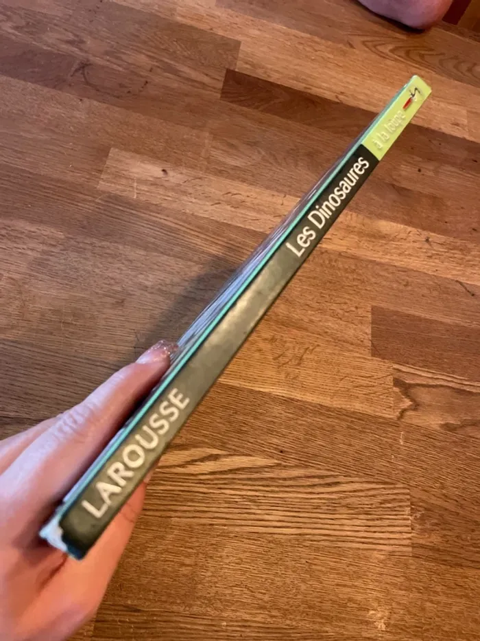 Livre Les dinosaures À la loupe - photo numéro 2