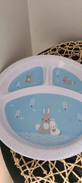 lot assiettes enfant motif lapin