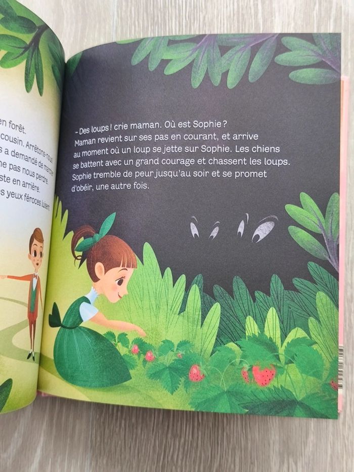 Les malheurs de Sophie, raconté aux petits - photo numéro 4