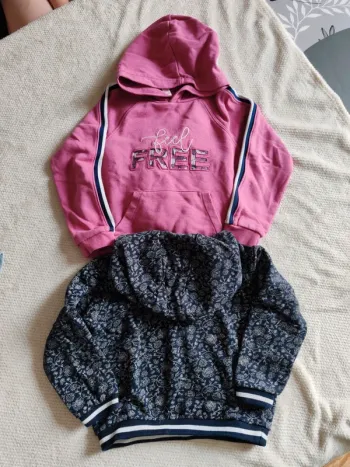 Deux sweats à capuche