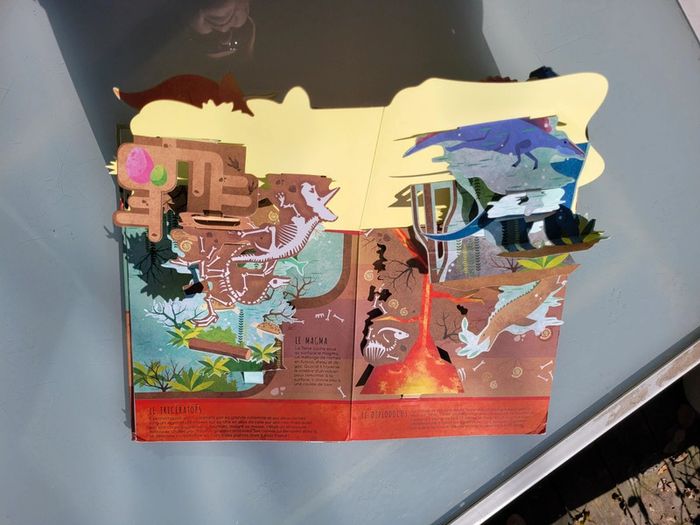 Superbe livre pop-up Dessus/Dessous Dinosaures et animaux préhistoriques (69) - photo numéro 6