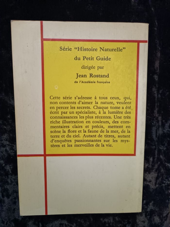 Petit guide coquillages - photo numéro 3