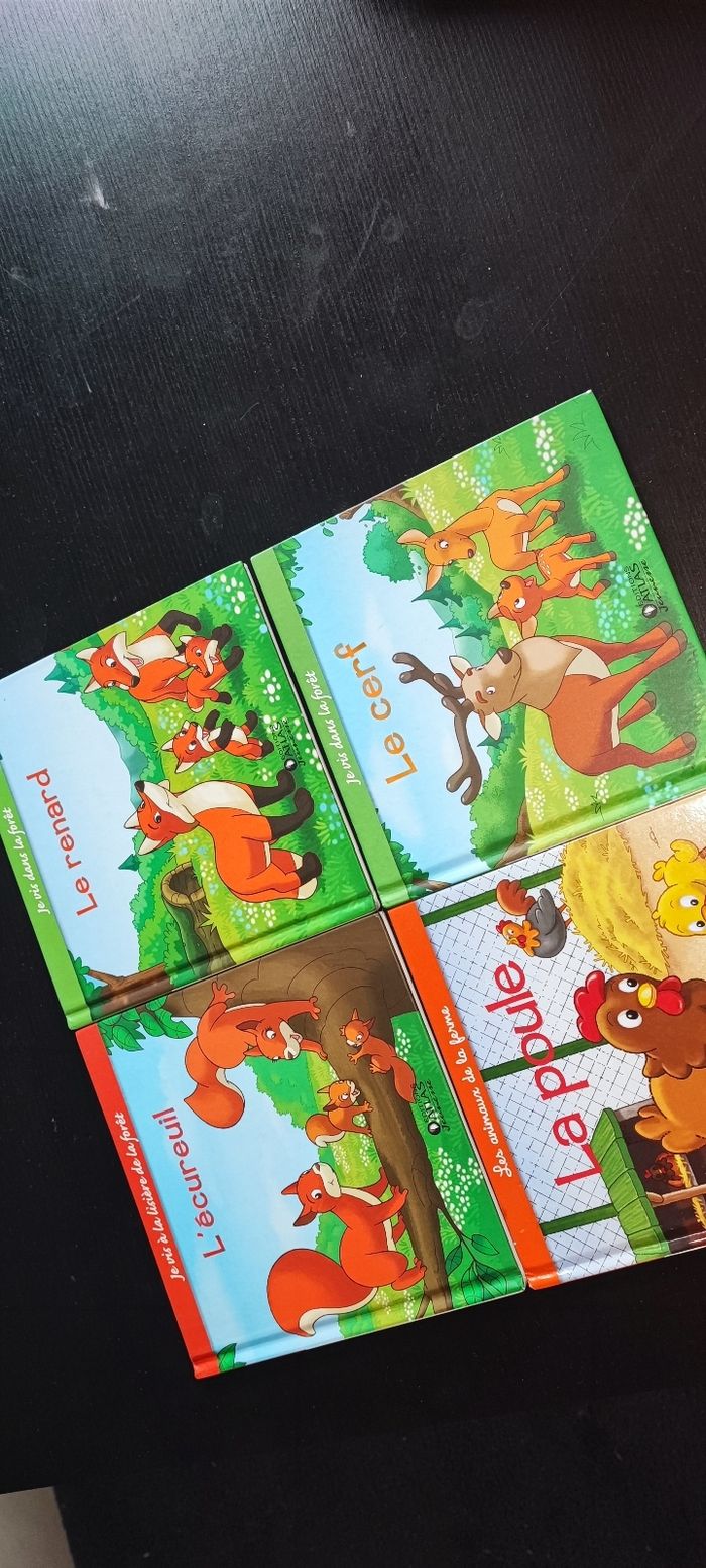 Livre - photo numéro 2