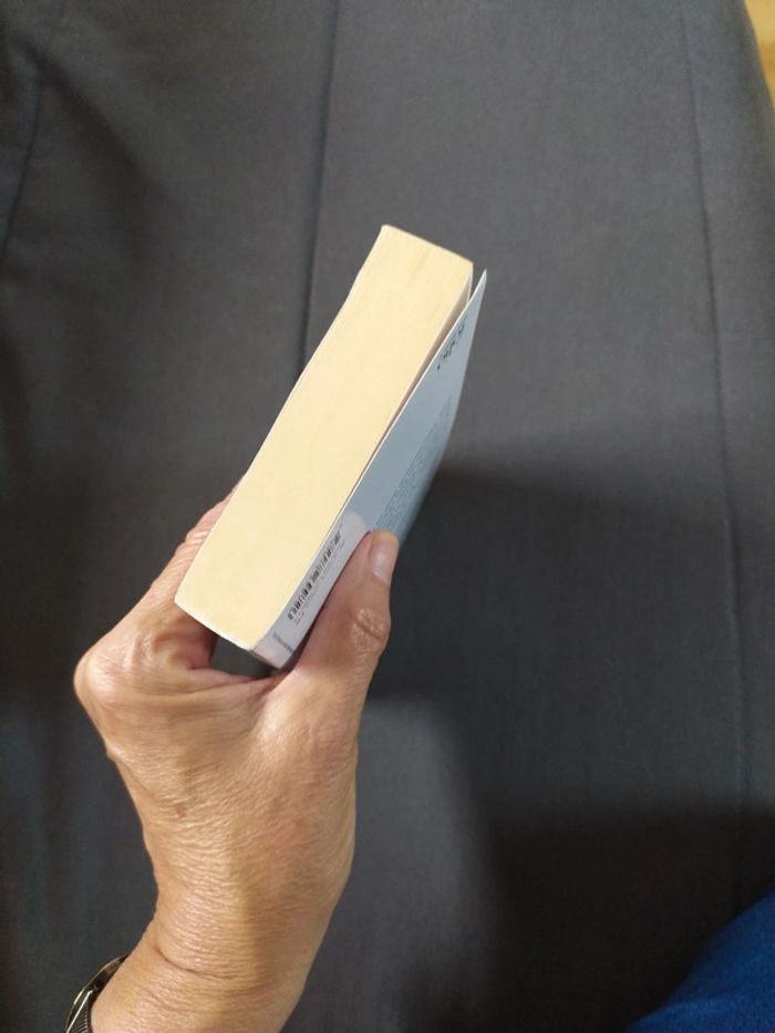 Un fils en or de Shilpi Somaya Gowda - photo numéro 6