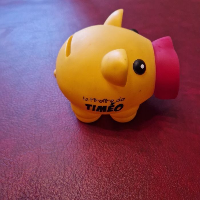 Tirelire cochon