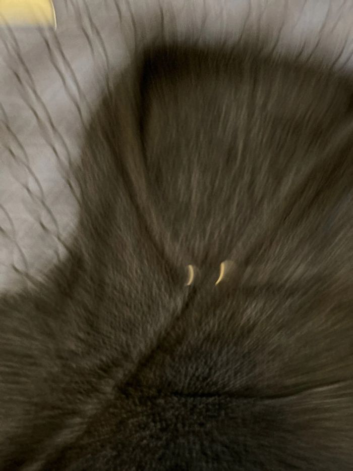 Pull homme - photo numéro 5