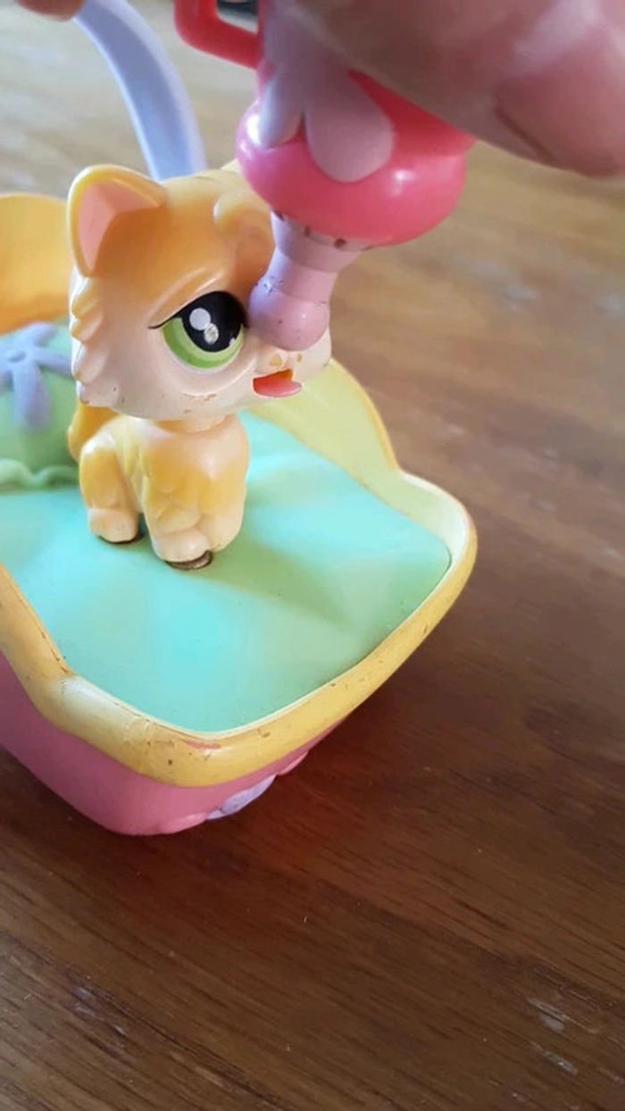 Chat petshop angora qui boit son lait - photo numéro 6