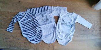 Lot 3 bodies absorba