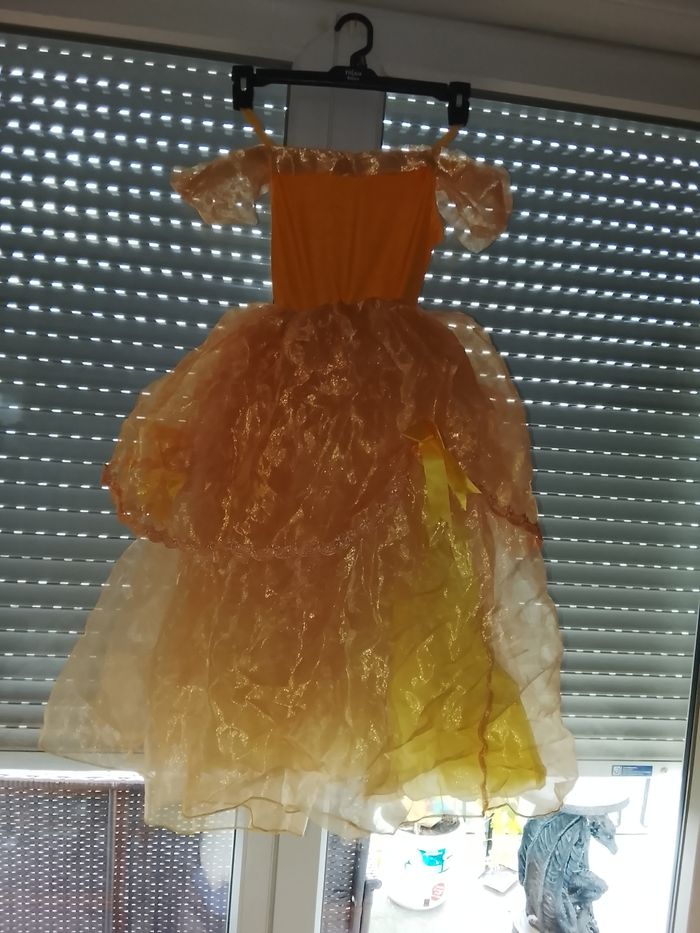 Déguisement princesse