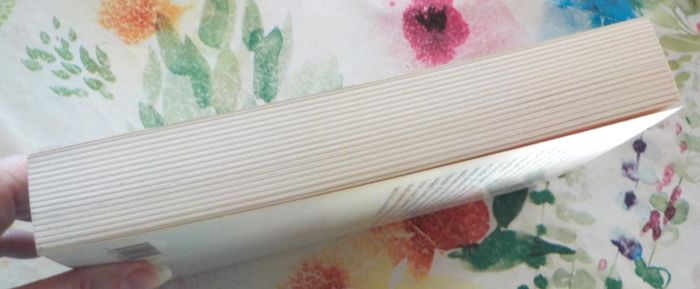 IL VIENDRA de Jacques ATTALI Ed. Fayard - photo numéro 6